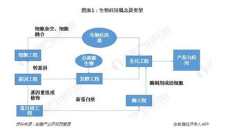 生物科技領(lǐng)域細(xì)分痛點(diǎn)與數(shù)字科技技術(shù)轉(zhuǎn)讓的深度融合路徑